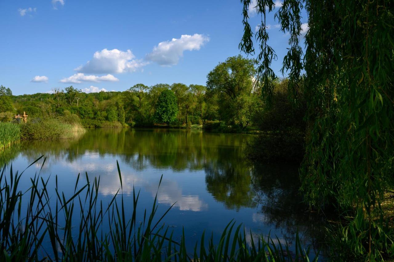 Готель Domaine De Lardoisiere Chateau-Salins Екстер'єр фото